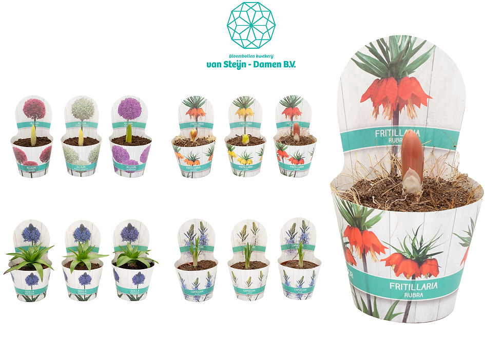 vbulbs potcovers.jpg