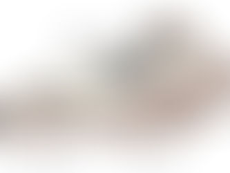 Sentidos dos Equinos - Parte 2: Olfato