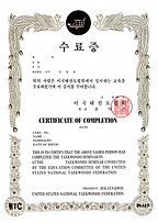 Completion Cert.png