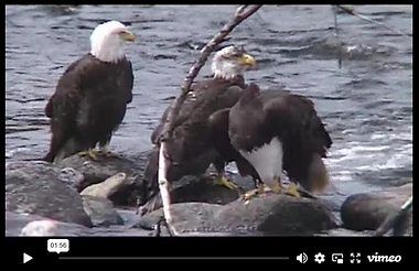 Screenshot 2025-11-10 140815.png