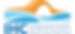 Integrative Health Consultant
