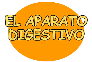 ap digestivo.png