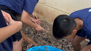 G5,6 ミャンマーで野菜を育てる工夫