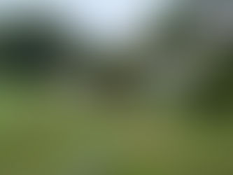 鉄棒にチャレンジ！