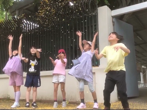 パダウの花が咲いたよ。