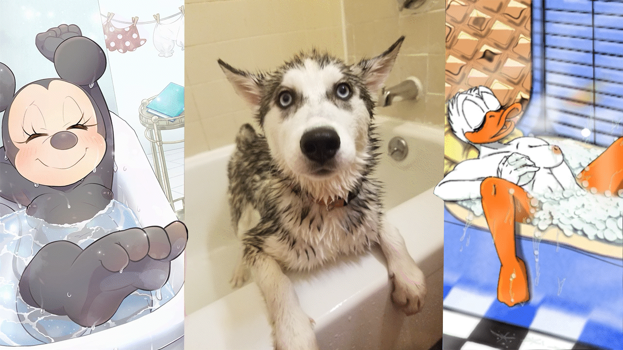 shampoo and conditioner.gif