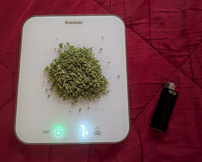 wake and bake