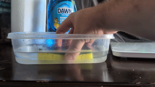 spongebath.gif