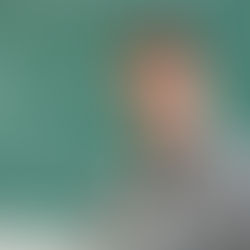 Premier webinaire du CERMA 2020