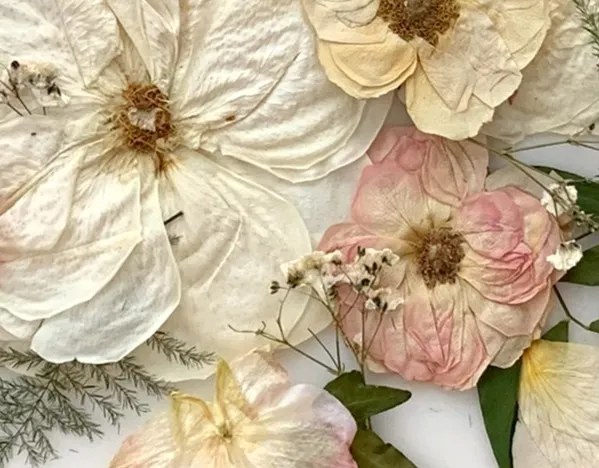 Just Brides Wedding Bouquet Pressed Flowers Framing Perth