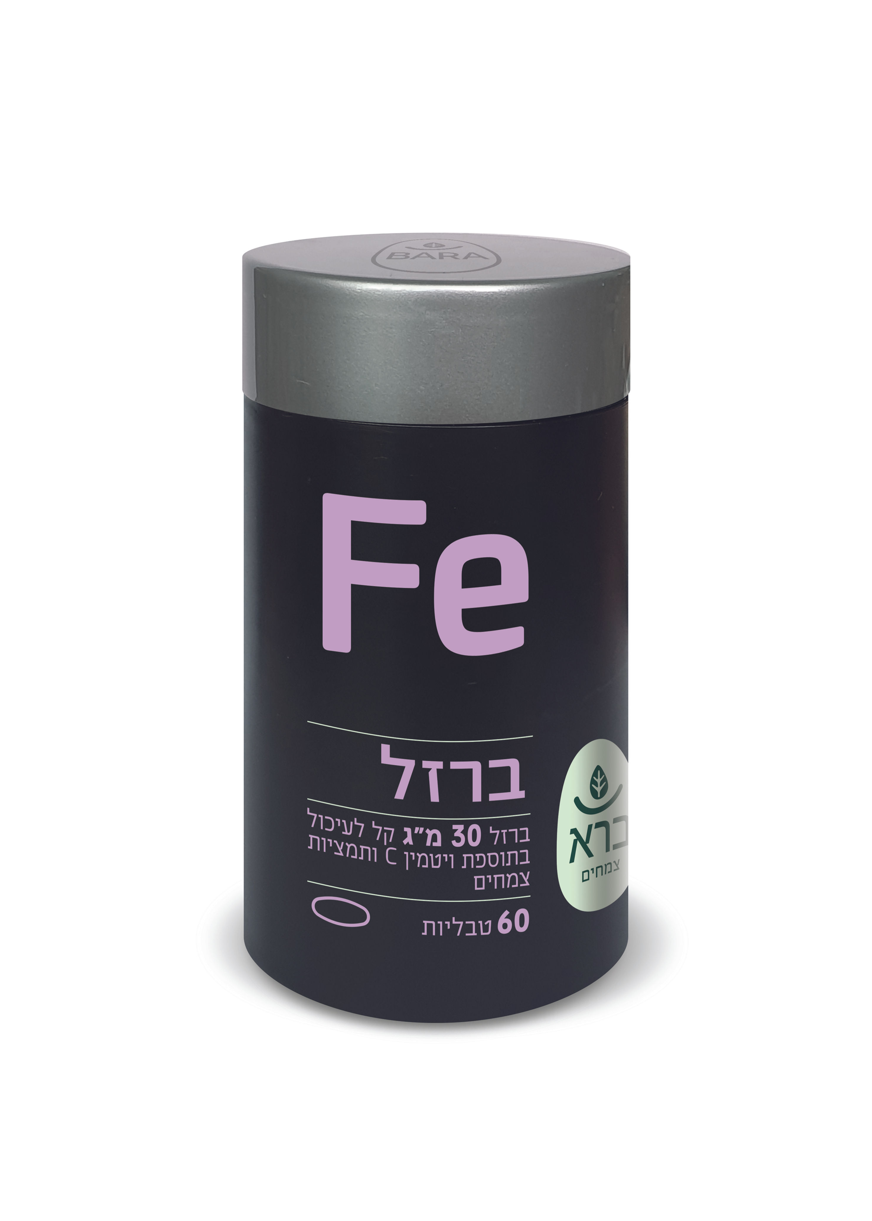 Fe – IRON | ברזל