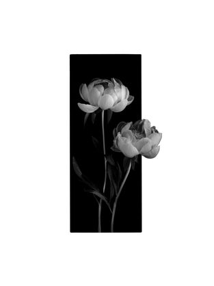 available realistic tattoo design of two black and grey peony flowers with a blacked out rectangle shape frame. ready to tattoo at Ash and Ink Tattoo Studio in West Kelowna