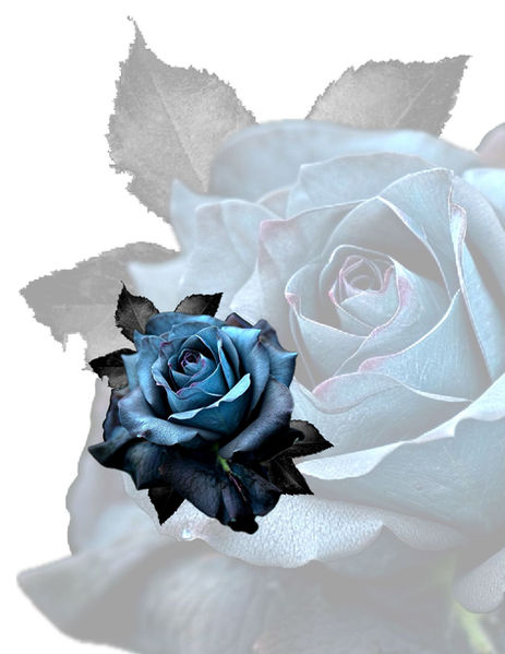 dark blue rose tattoo design, in West Kelowna