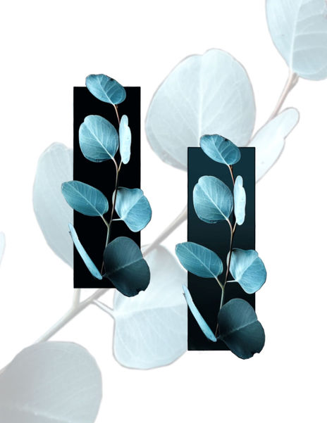 eucalyptus branch tattoo design with a black rectangle, available at Ash & Ink Tattoo Studio in Kelowna