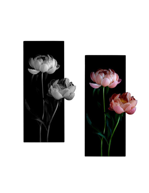 Matching peony tattoo designs with black rectangles available in West Kelowna at Ash & Ink Tattoo