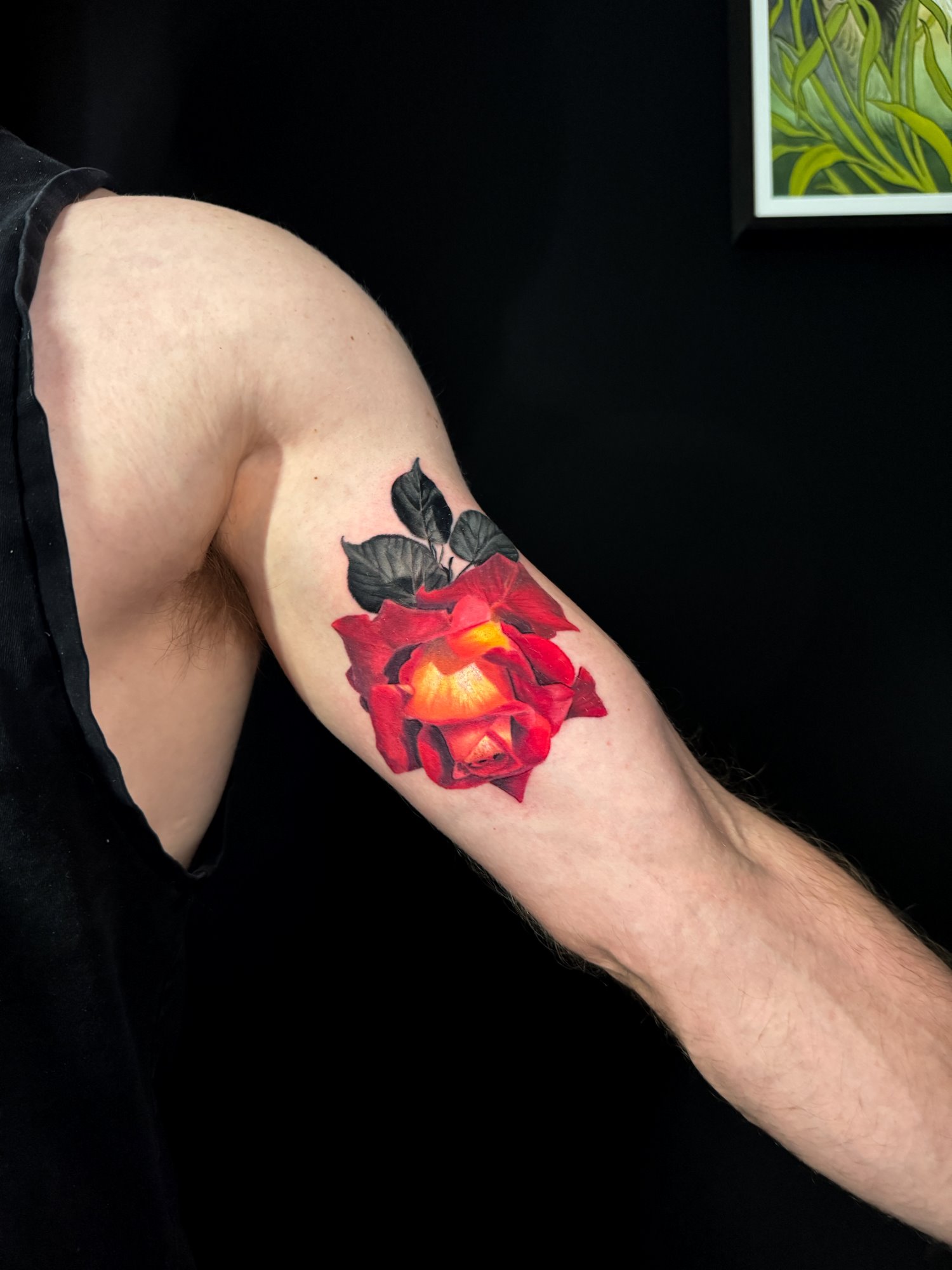 colour realism red rose tattoo with black leaves on a mans bicep - Ash & Ink Tattoo, Kelowna