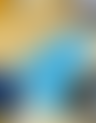 Los geht's: Die neuen Kurse können gebucht werden.