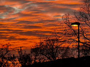 Der Winter in Düsseldorf