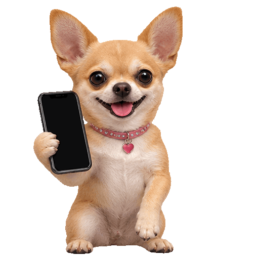 Call Lauriepaws for small dog boarding in Salem, OR
