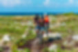 Mountain bikers ride coastal trail