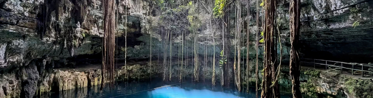 Amazing Cenote with hanging roots and blue water!