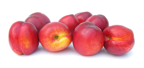 Nectarines.jpg