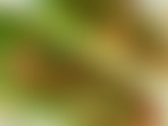 Healthy Shrimp Tacos