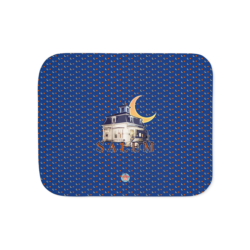 Thumbnail: SALEM HOUSE Sherpa Blanket
