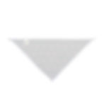 Thumbnail: MOTHMAN Pet Bandana