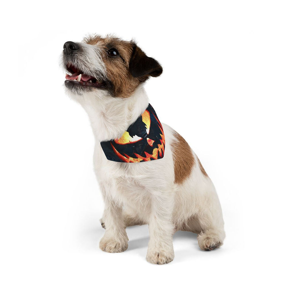 Thumbnail: MIDNIGHT HALLOWEEN Pet Bandana Collar