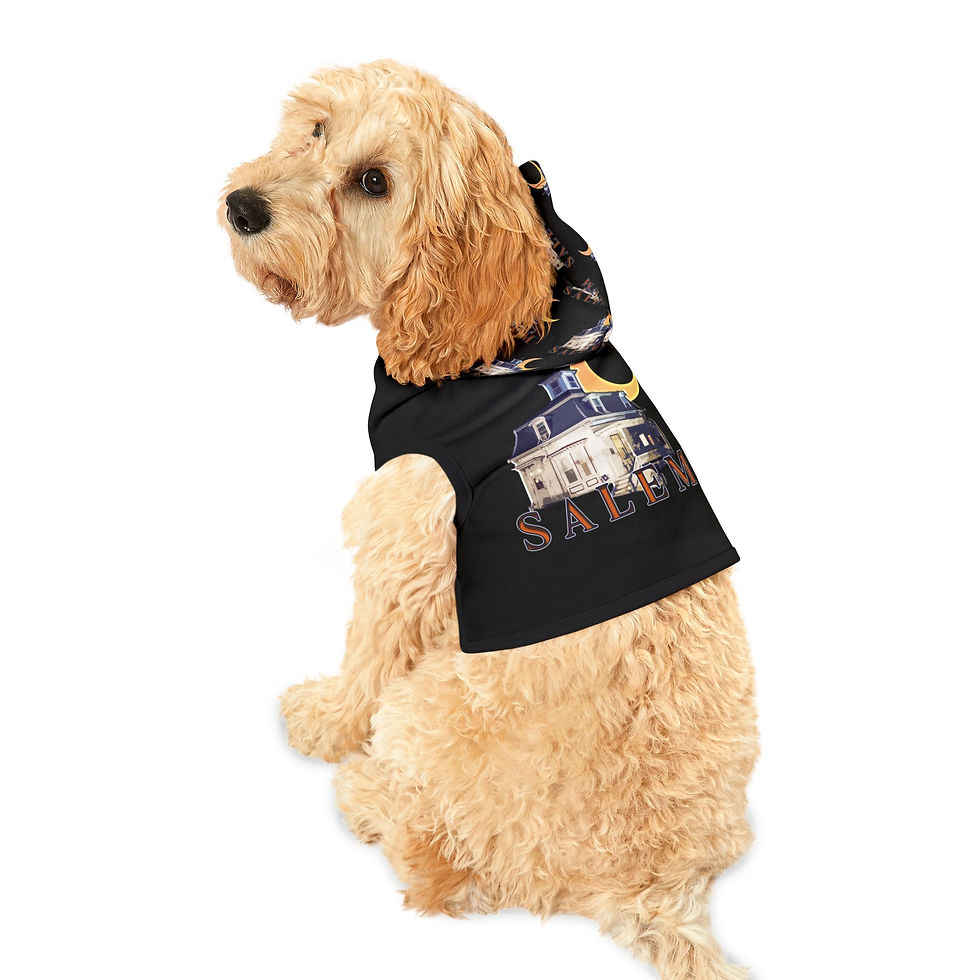 Thumbnail: SALEM HOUSE Pet Hoodie