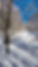 thumbnail_IMG_3836.jpg