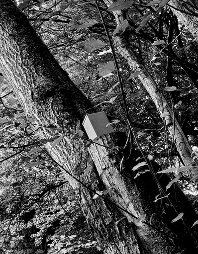 Screenshot 2023-02-14 at 11.09.01.png