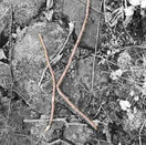 Notes_230511_104456_f5b (1).jpg