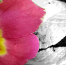 Notes_230511_104407_1db (1).jpg