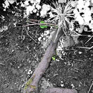 Notes_230511_104616_efa (1).jpg