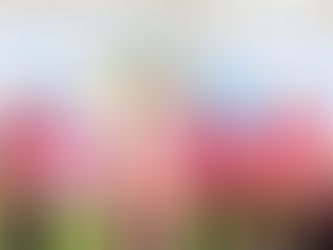 企業家庭日怎麼拍?Benson Photo教你有溫度的家庭日攝影