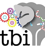 Tbi Scans