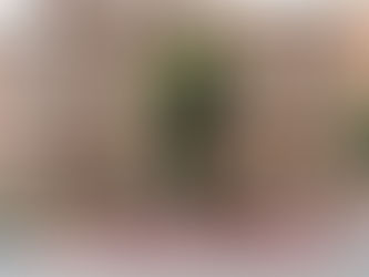 I venditori privati cercano informazioni e risorse specifiche su Google, cosa esattamente ?