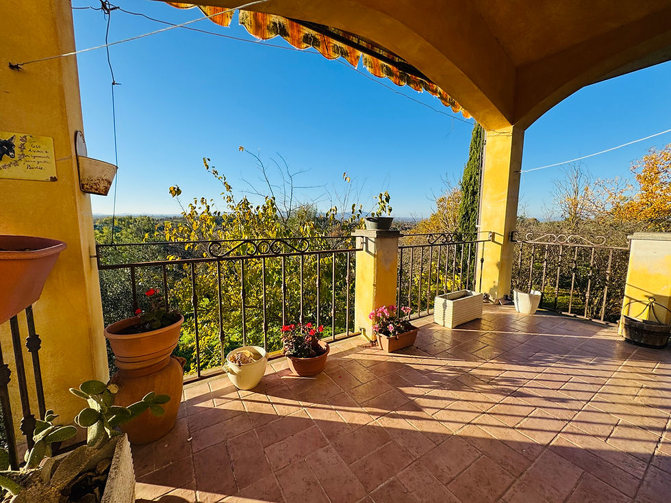 Miniatura: Villa unifamiliare via Civita Castellana, Faleria