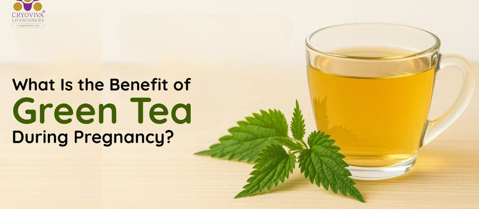 Green Tea During Pregnancy