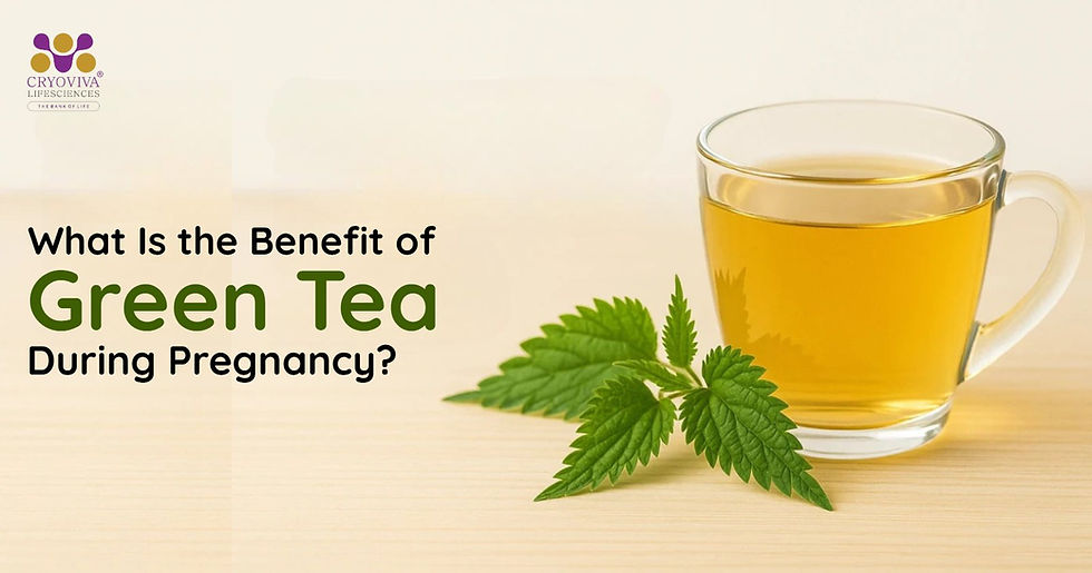 Green Tea During Pregnancy