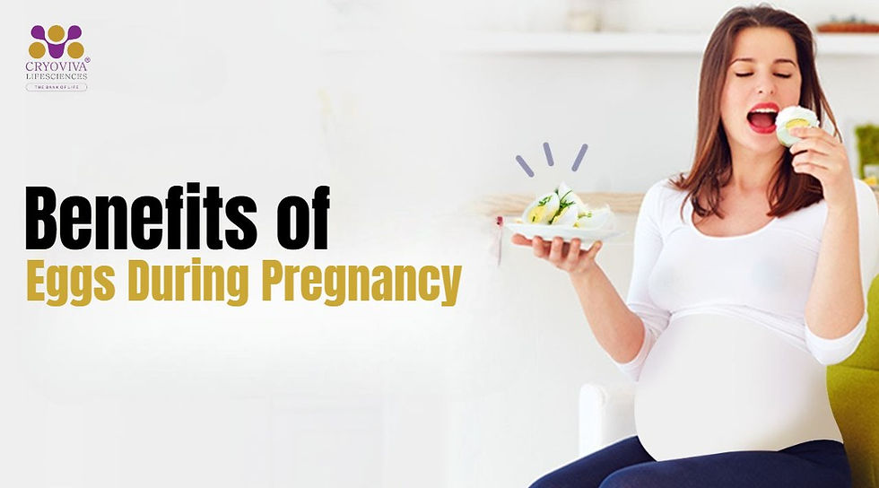 Eggs During Pregnancy