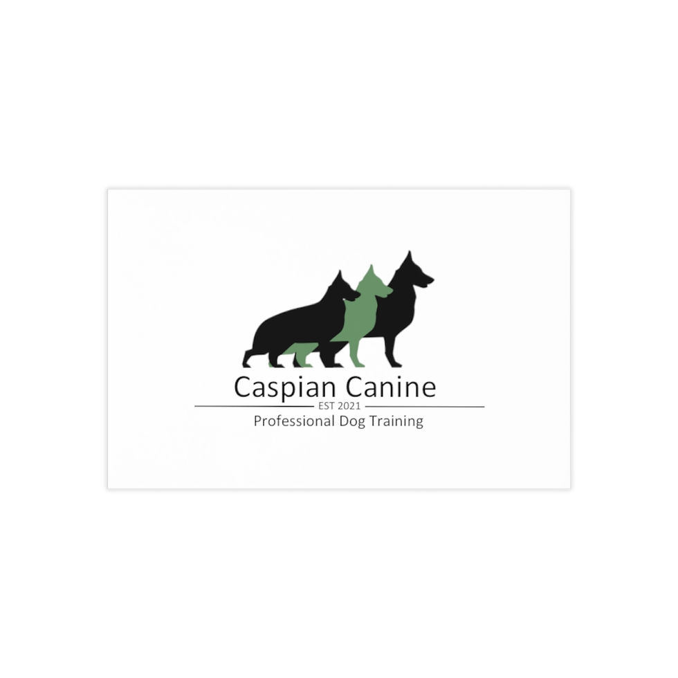 Thumbnail: Caspian Canine Business Cards, 100pcs