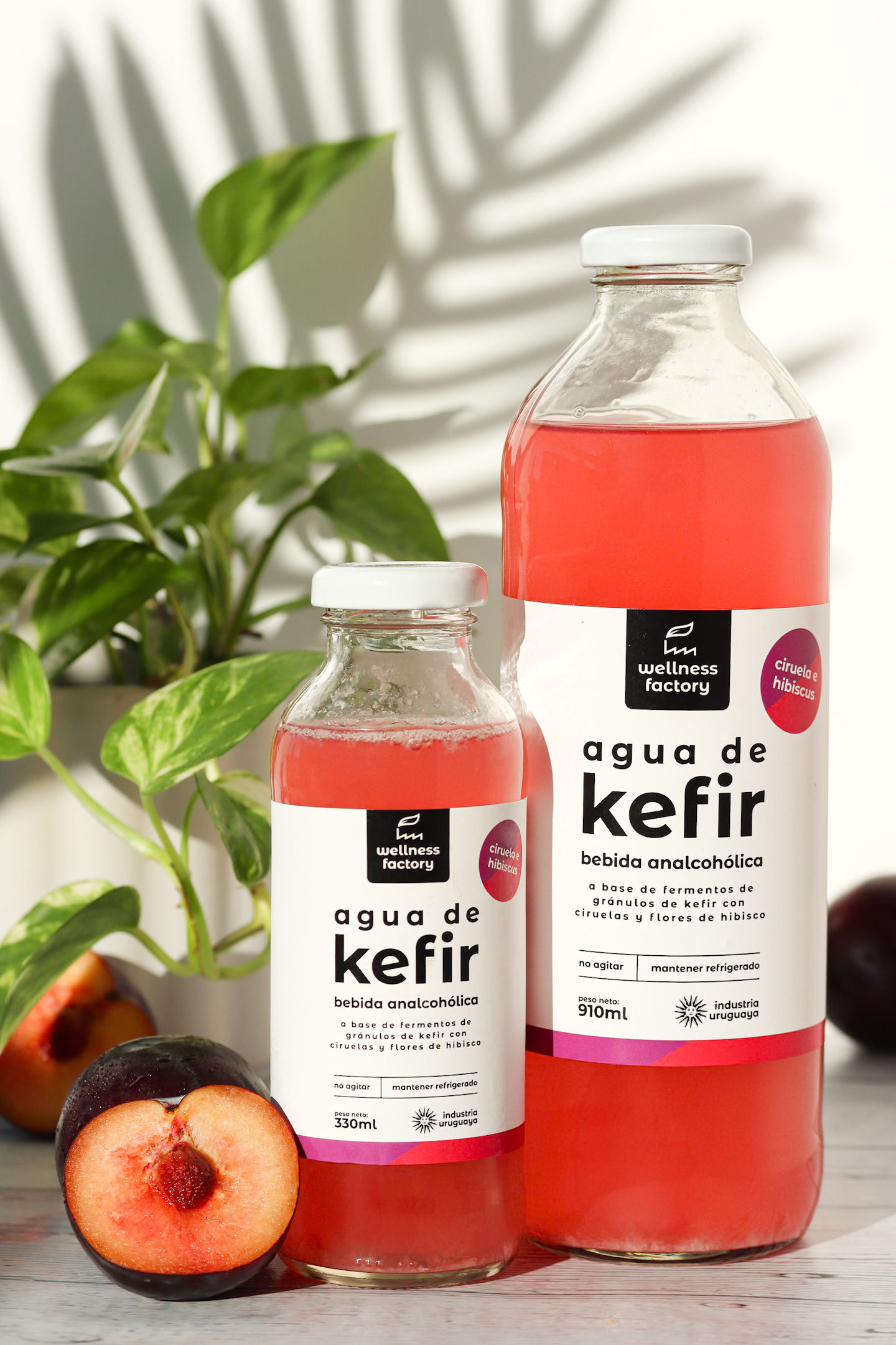 Regalá salud con Wellness Factory