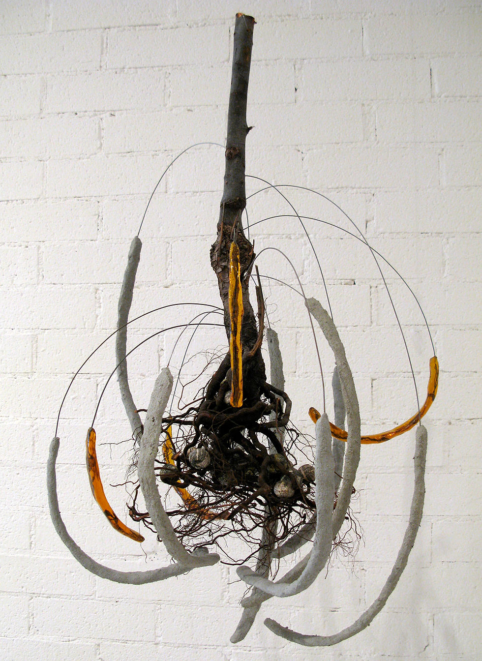 Roots 3