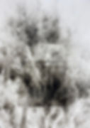 Uncertainty 2