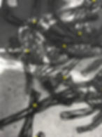Forms 4 (detail)