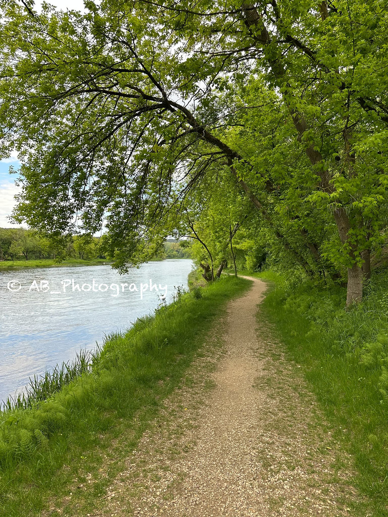Beaver Trail (Bebrų takas)