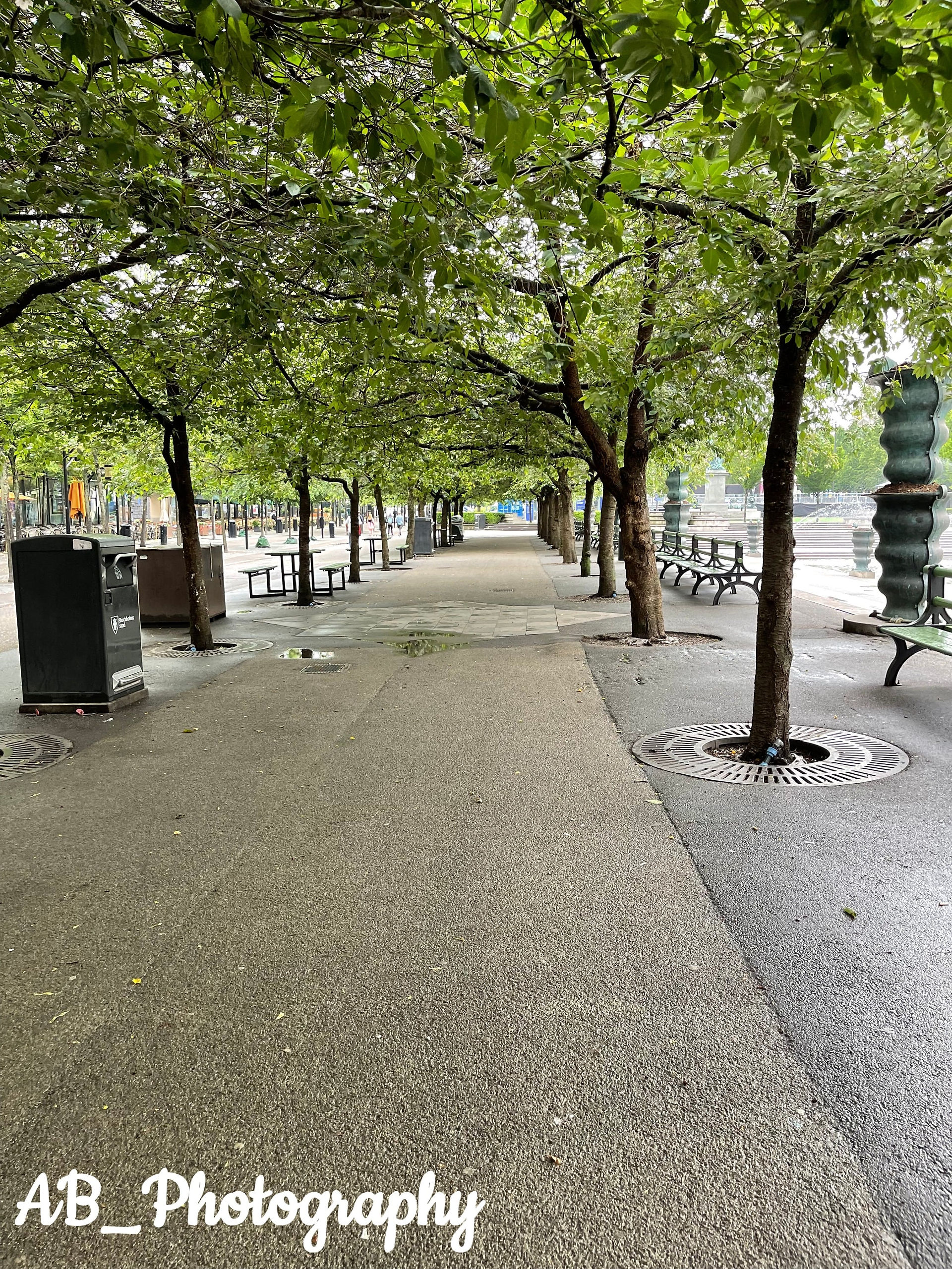 Kungsträdgården